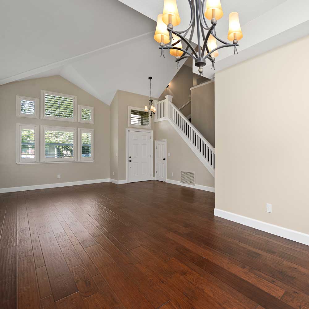 professional painting services